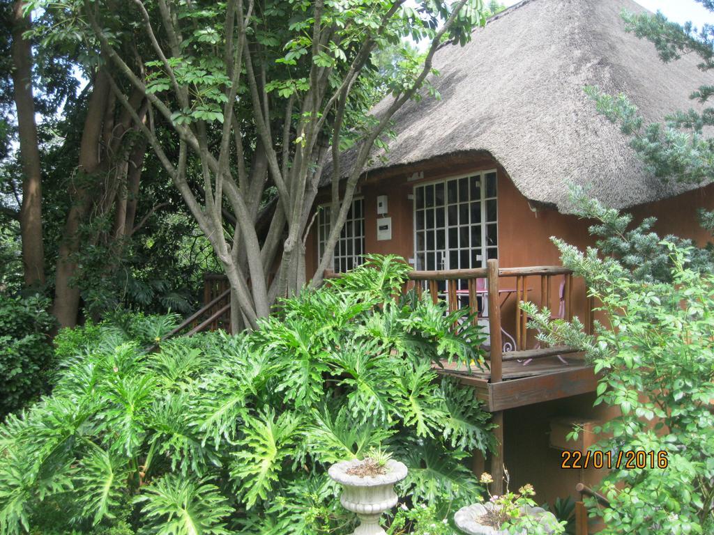 Treetops&Treats Guest House Pretoria-Noord Extérieur photo