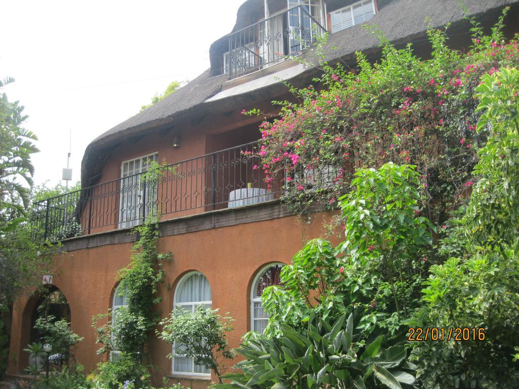 Treetops&Treats Guest House Pretoria-Noord Extérieur photo