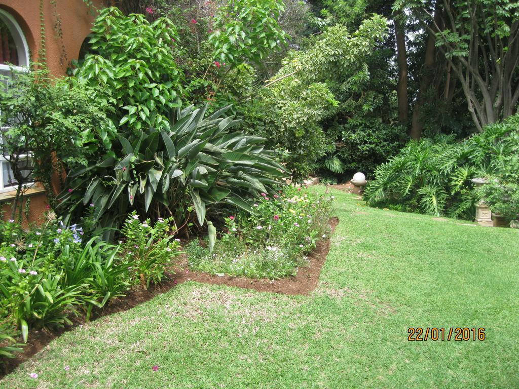 Treetops&Treats Guest House Pretoria-Noord Extérieur photo