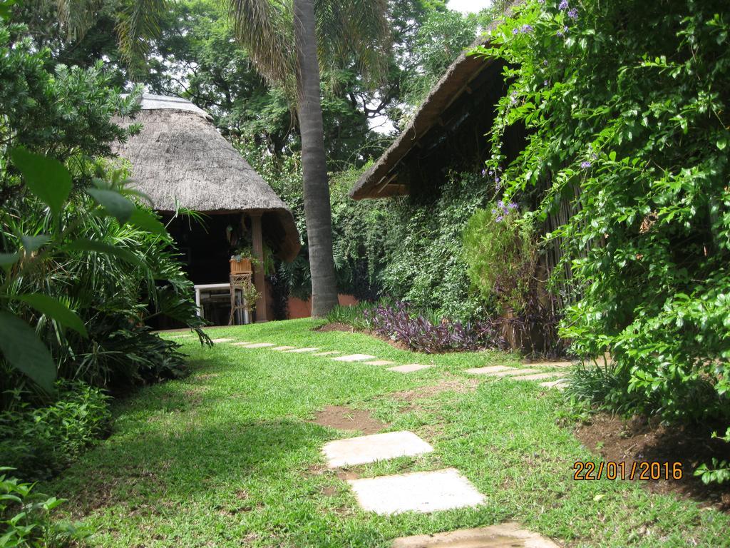 Treetops&Treats Guest House Pretoria-Noord Extérieur photo