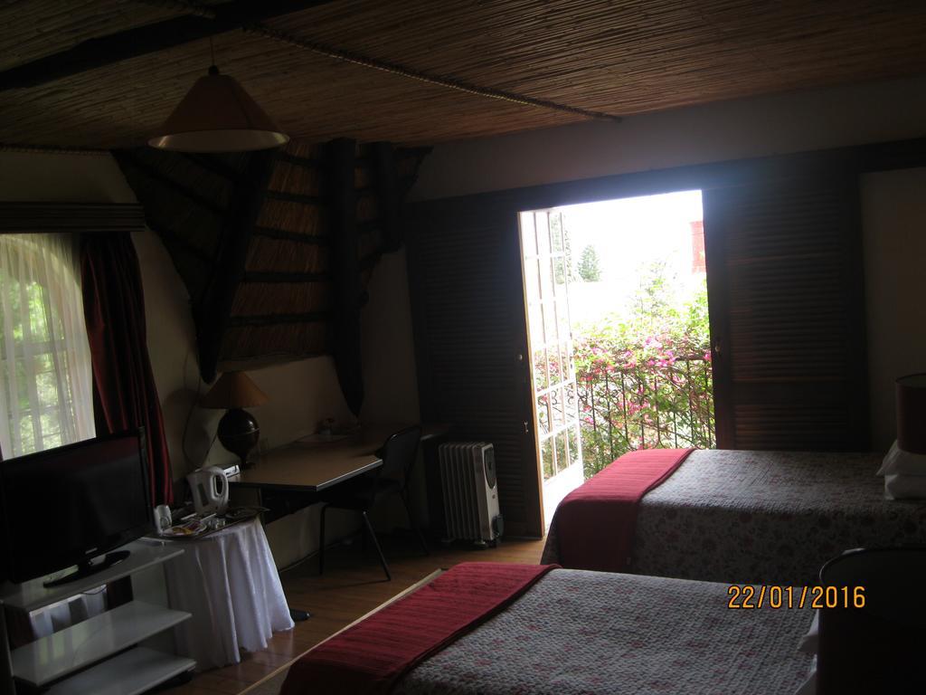 Treetops&Treats Guest House Pretoria-Noord Extérieur photo