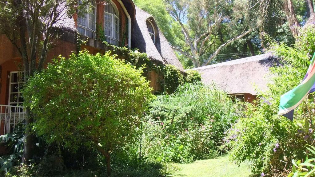 Treetops&Treats Guest House Pretoria-Noord Extérieur photo