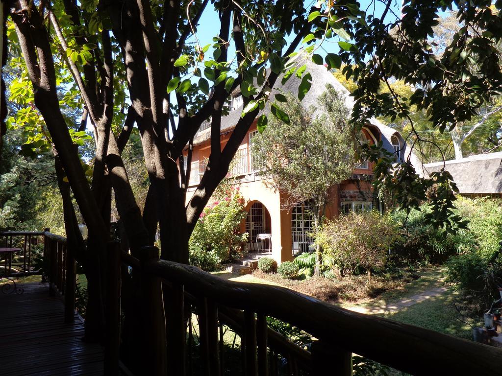 Treetops&Treats Guest House Pretoria-Noord Extérieur photo