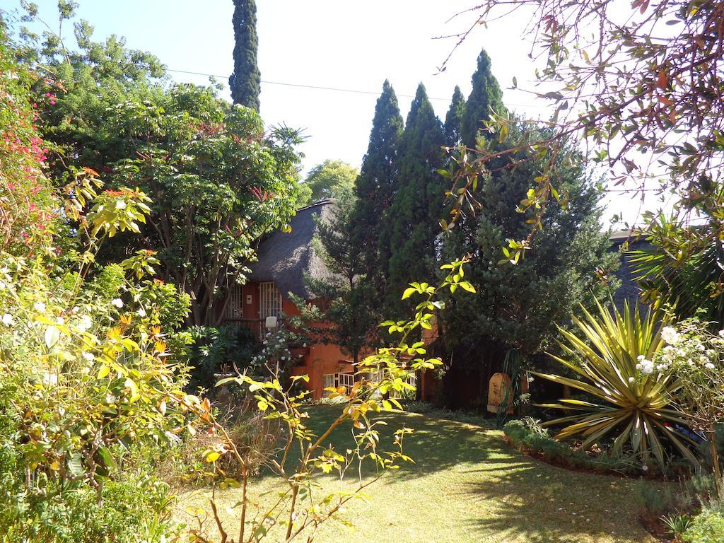 Treetops&Treats Guest House Pretoria-Noord Extérieur photo
