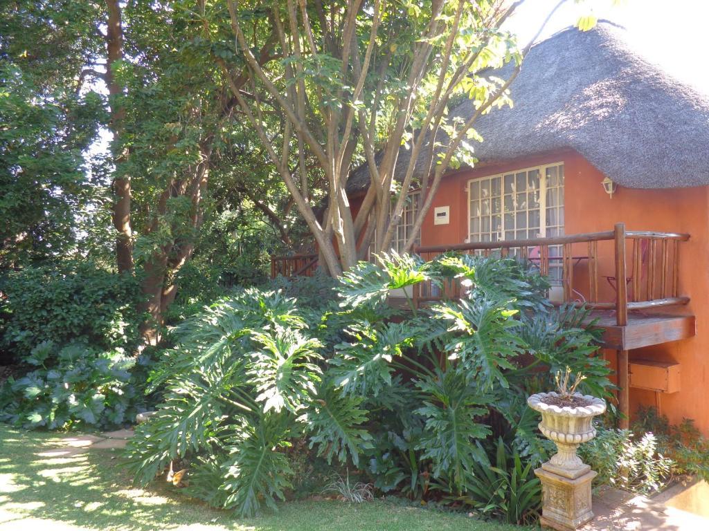 Treetops&Treats Guest House Pretoria-Noord Extérieur photo